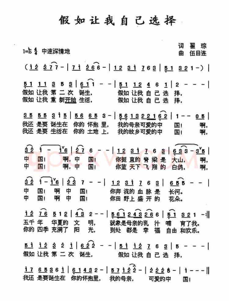 加入让我自己选择