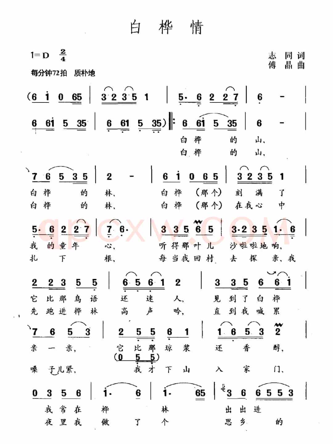 白桦情