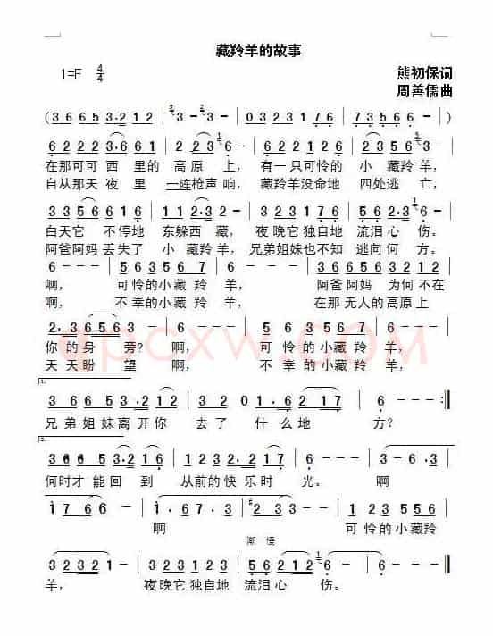 藏羚羊的故事