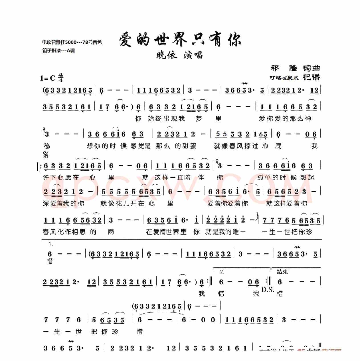 爱的世界只有你（电吹管）