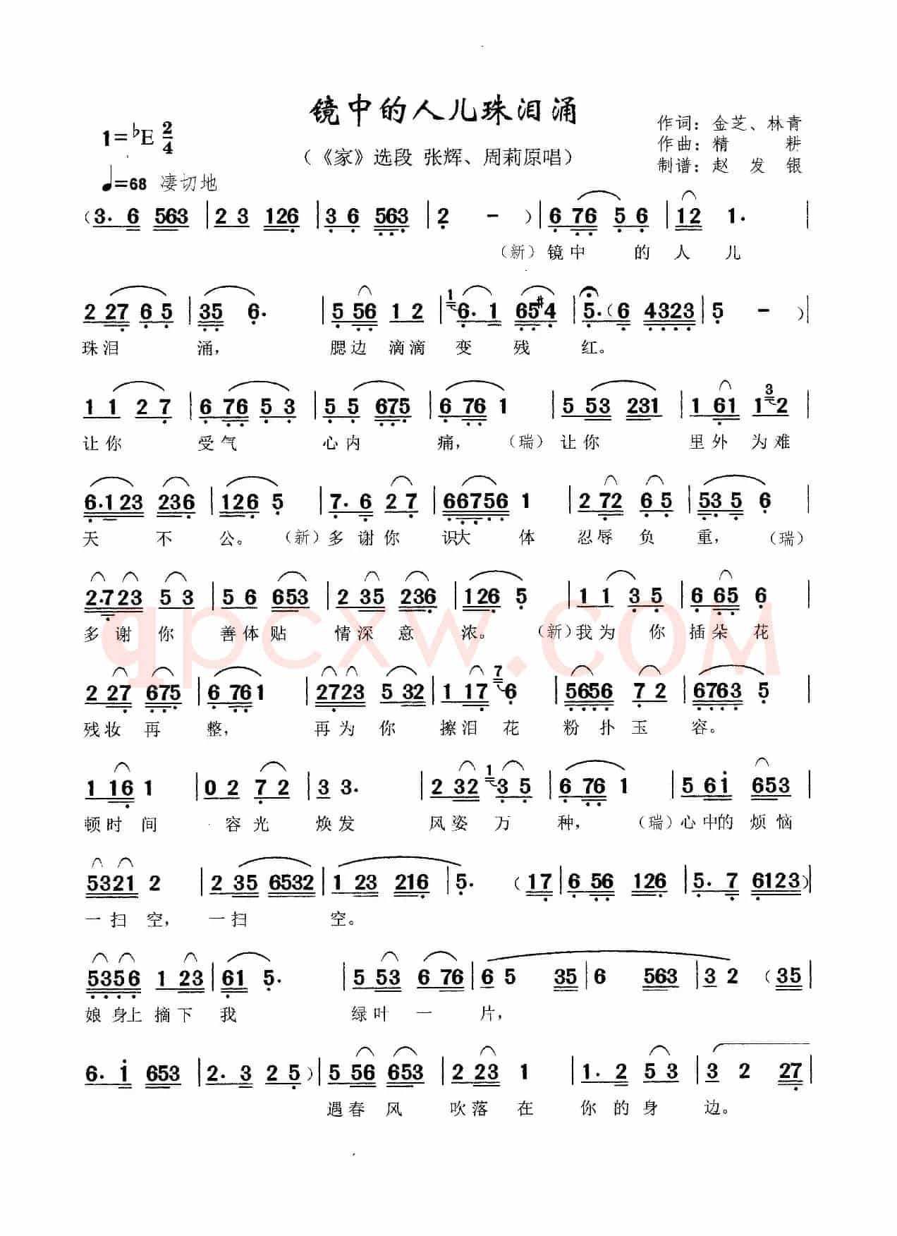 镜中的人儿珠泪涌（黄梅戏《家》选段）