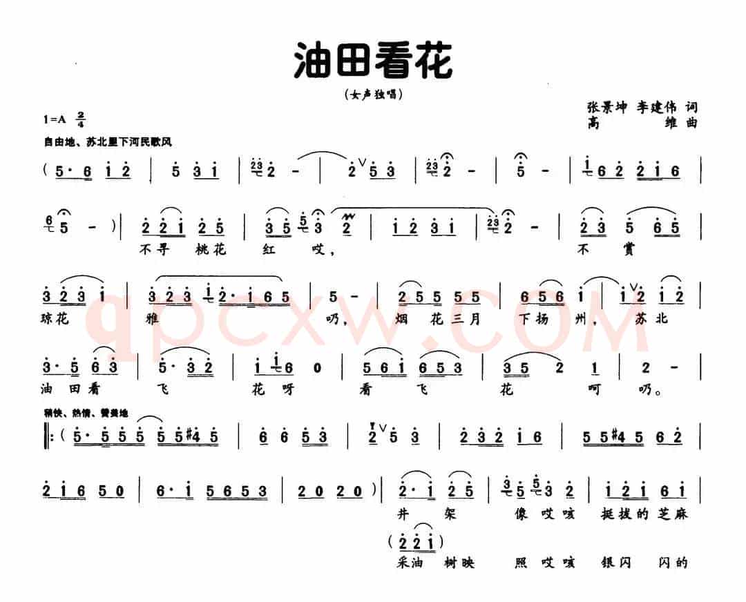油田看花