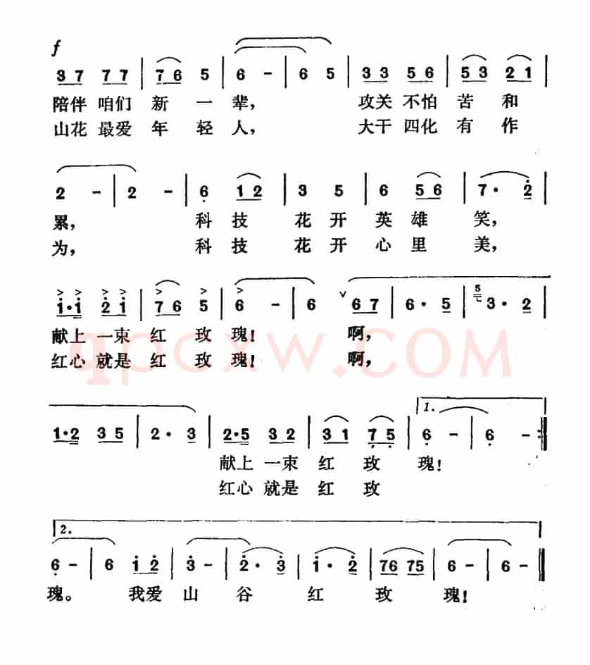 我爱山谷红玫瑰