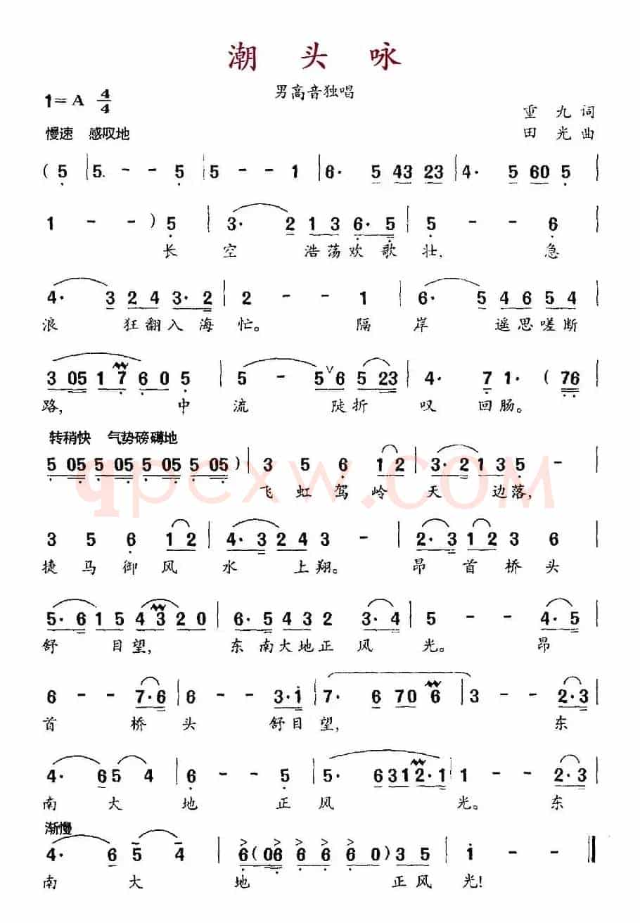 潮头咏