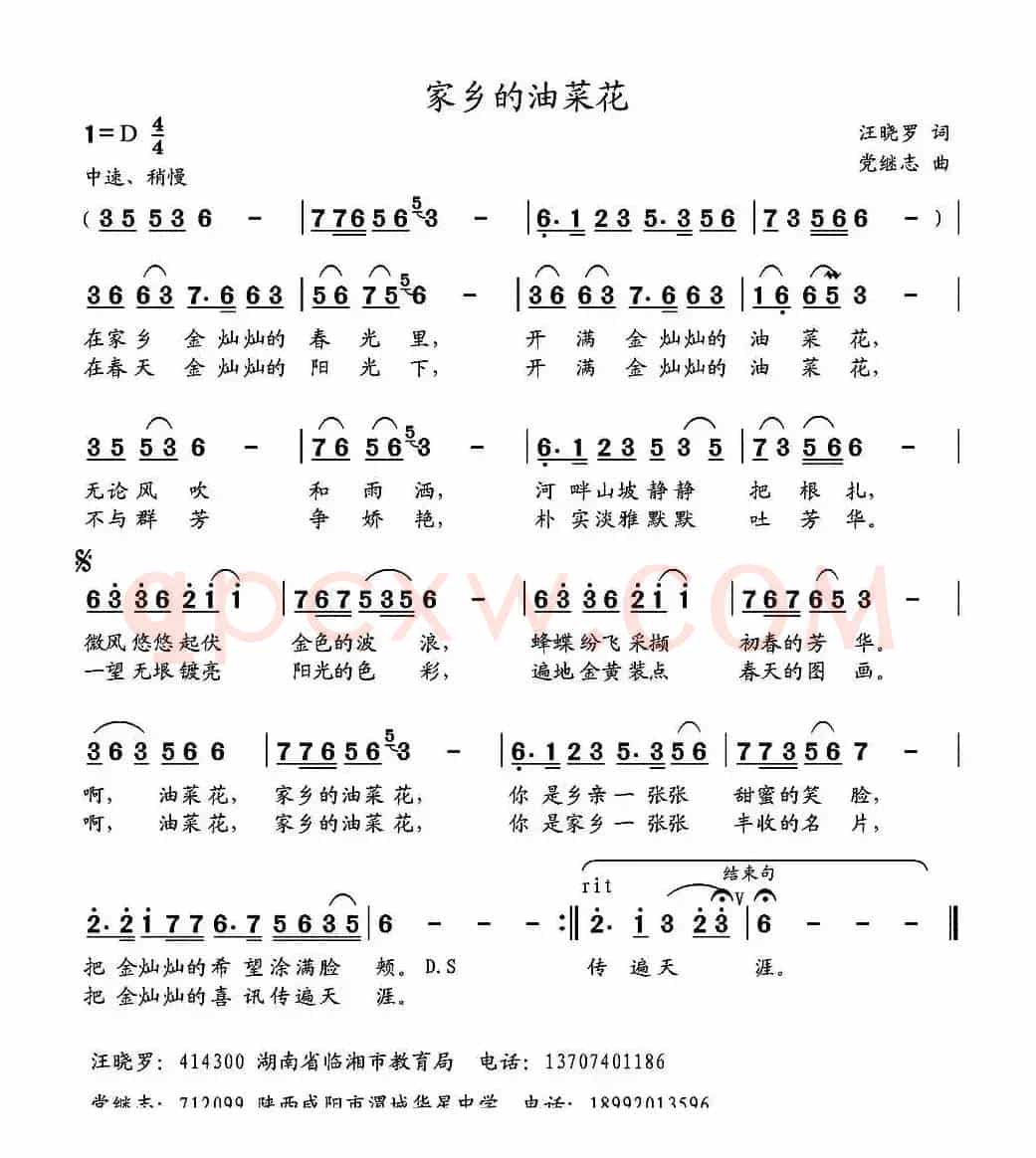 家乡的油菜花（汪晓罗词 党继志曲）