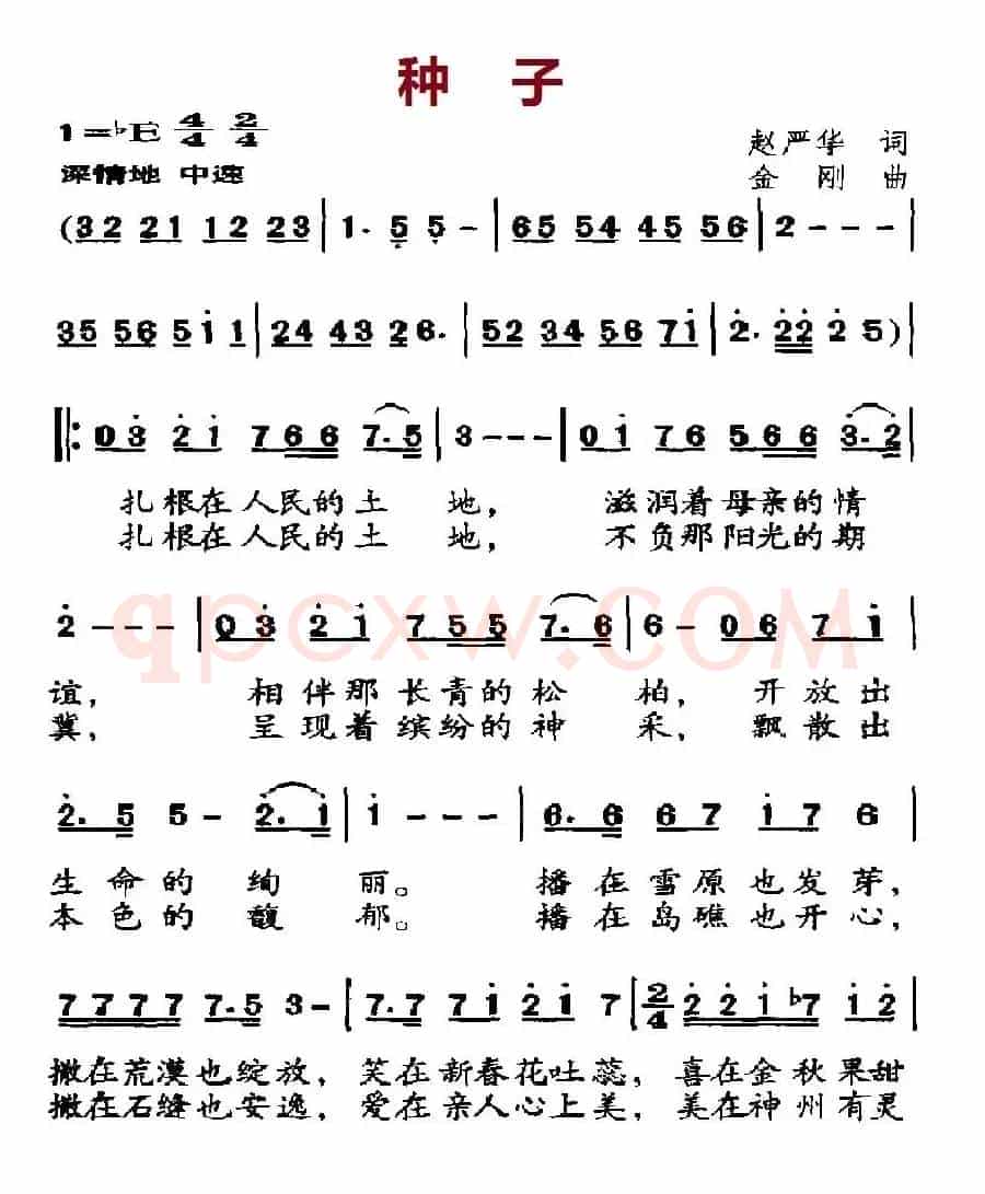 种子（赵严华词 金刚曲）
