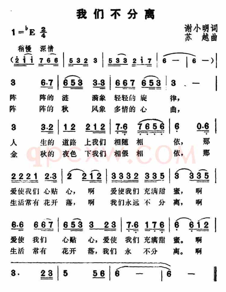 我们不分离