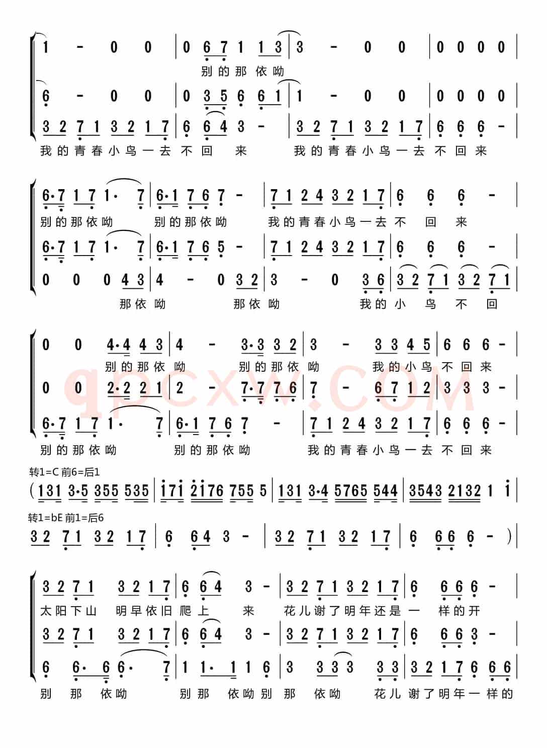 青春舞曲（梦之旅组合）