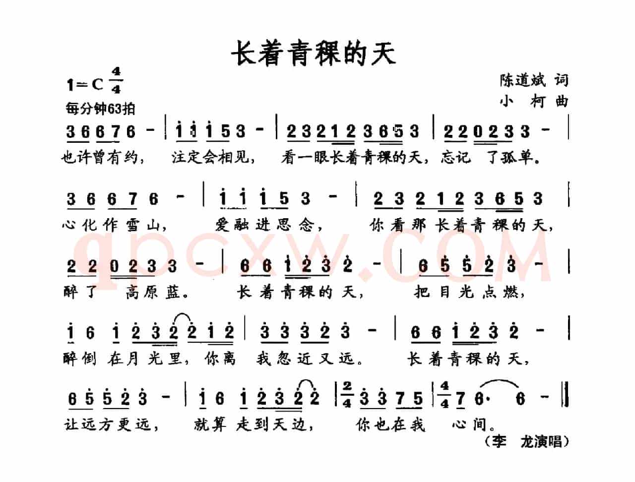 长着青稞的天