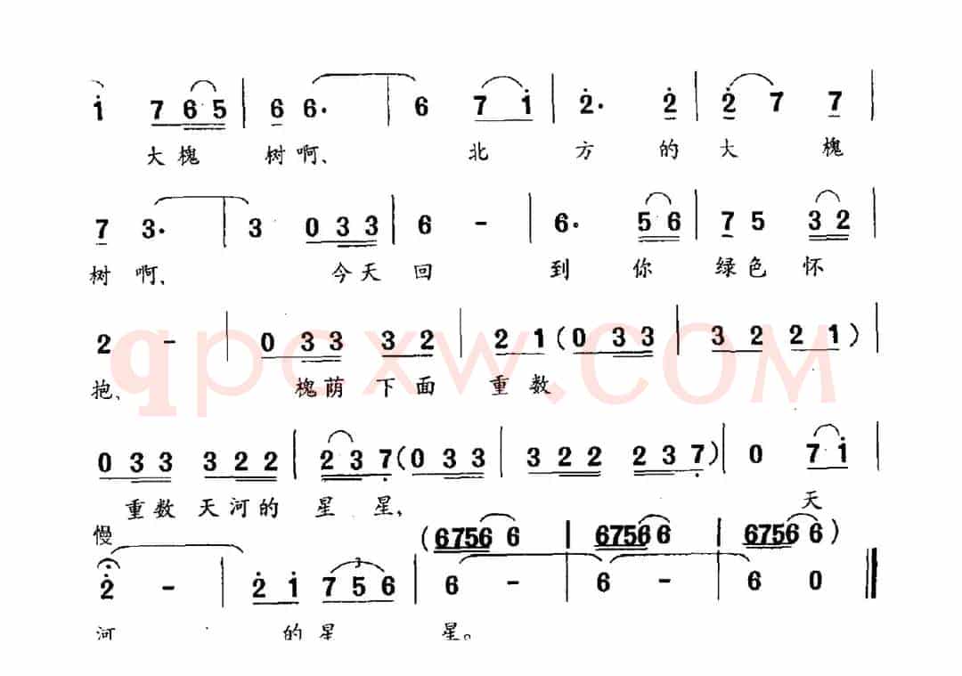 北方的大槐树（黎琦词 陈枫曲）
