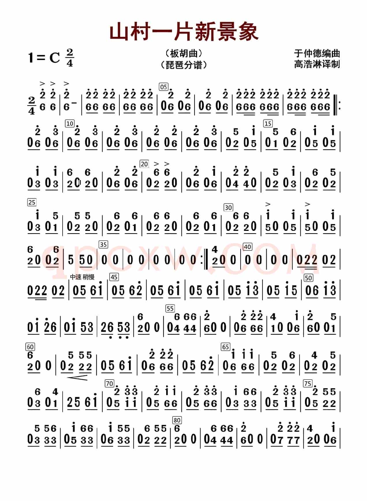 山村一片新景象（琵琶分谱）