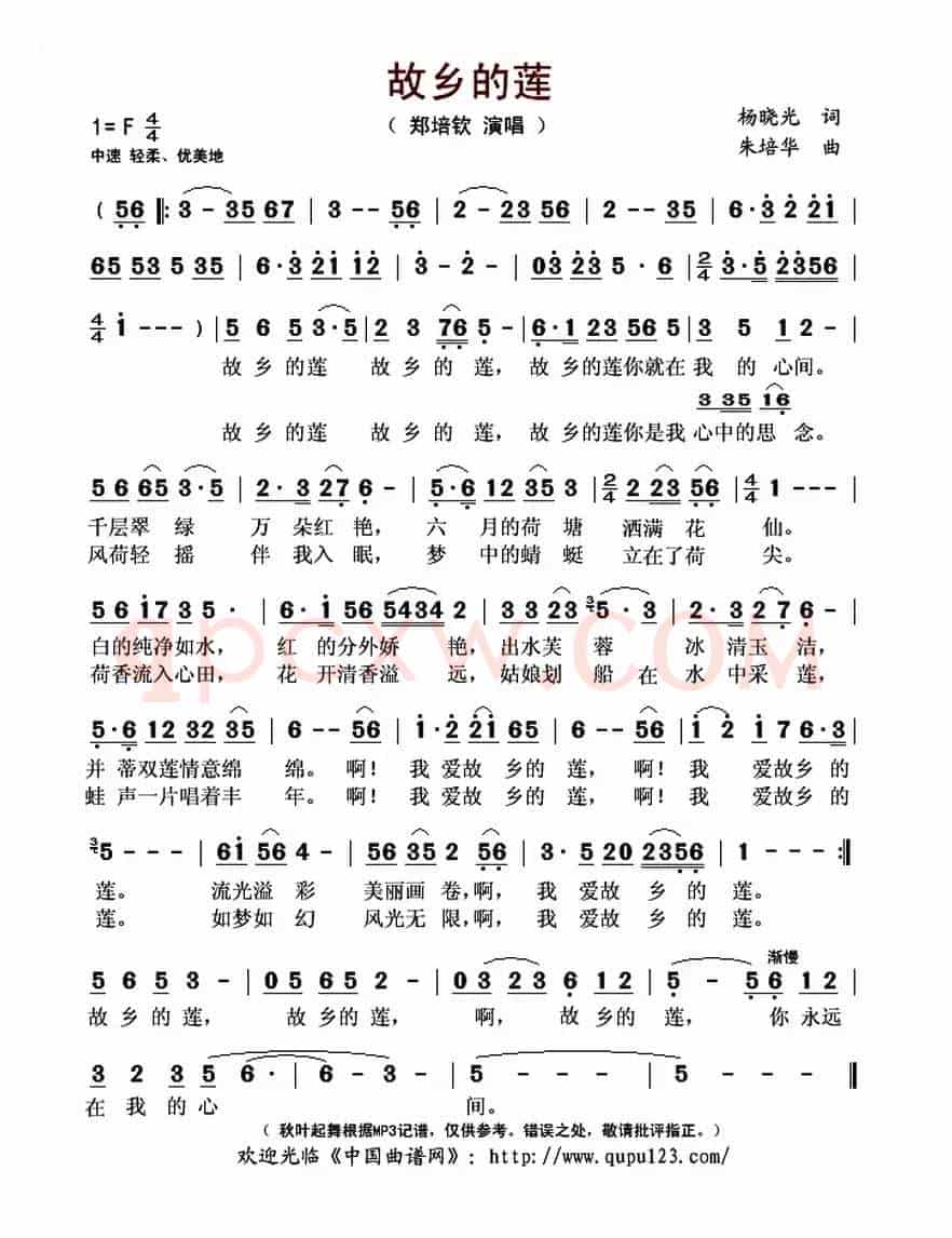 故乡的莲