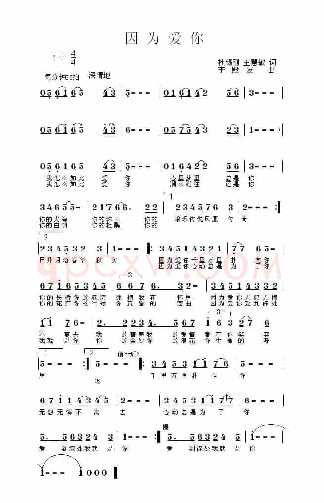因为爱你（王慧敏 杜锡刚词 李殿友曲）