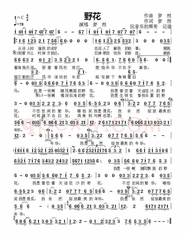 野花（演唱  梦  然）