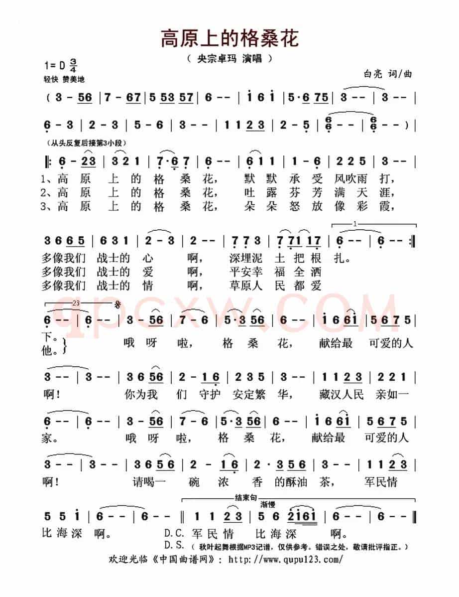 高原上的格桑花(白亮 词曲)