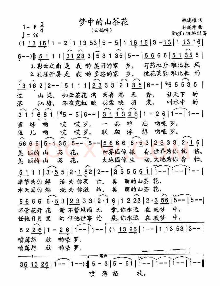 梦中的山茶花