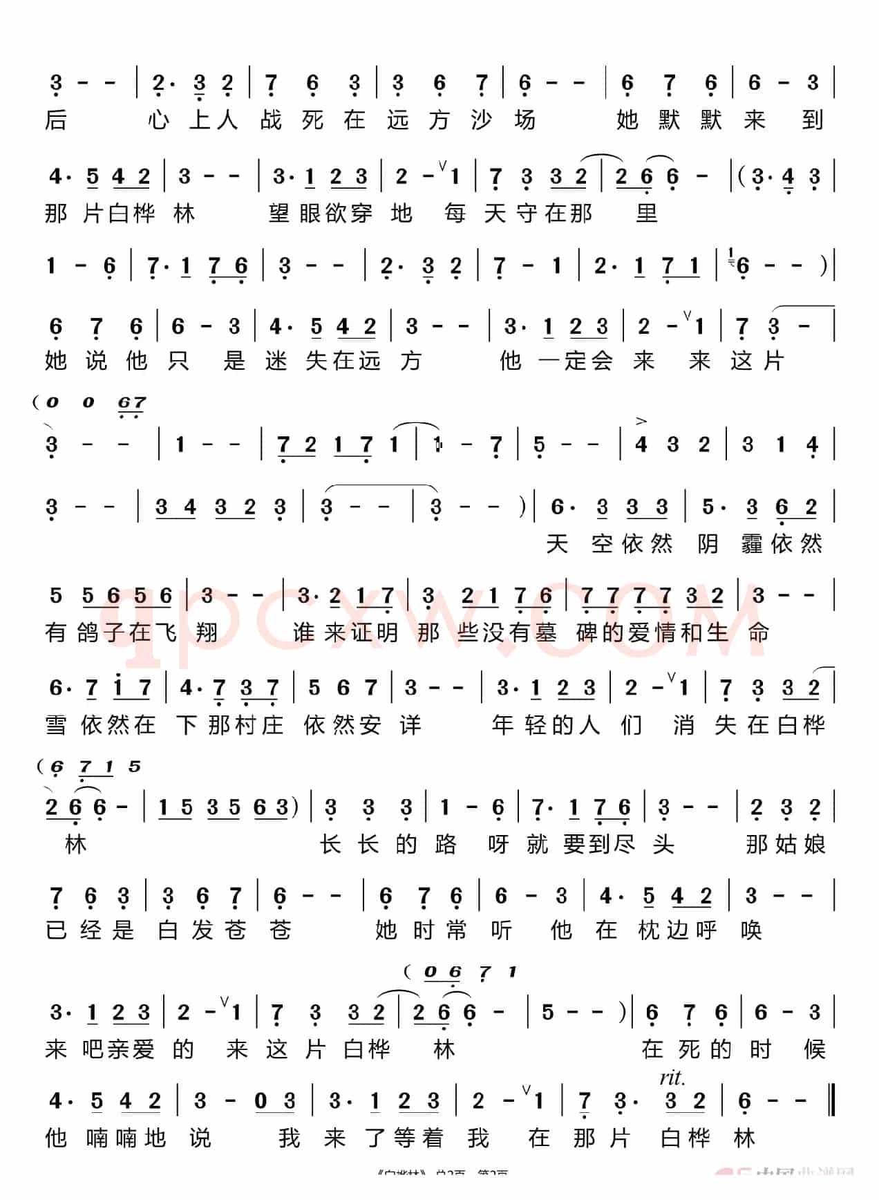 白桦林（王彦霖）