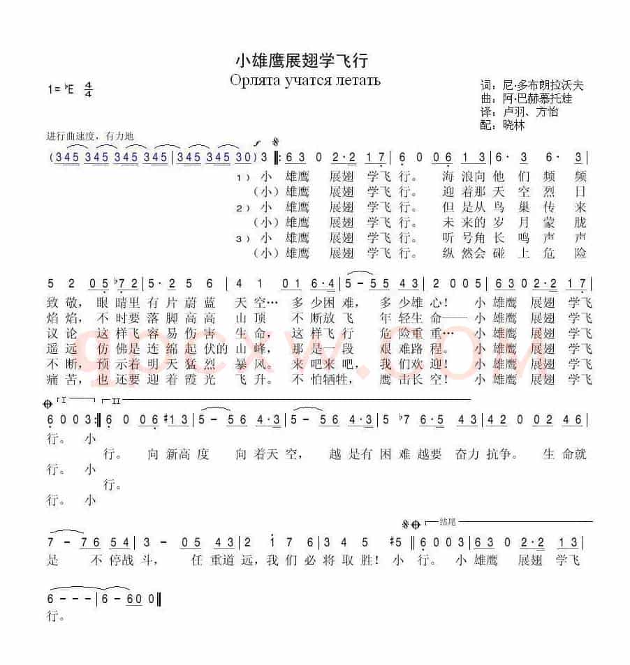 小雄鹰展翅学飞行