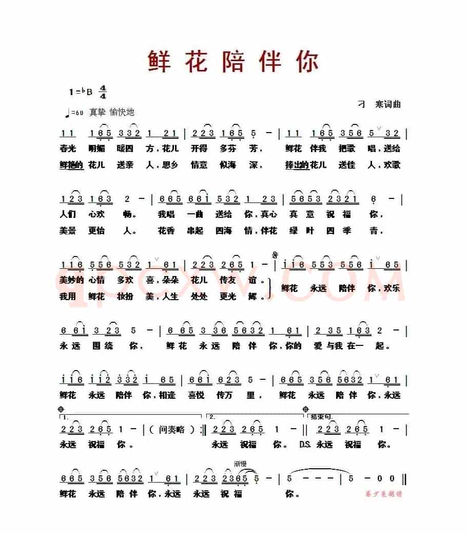 鲜花陪伴你