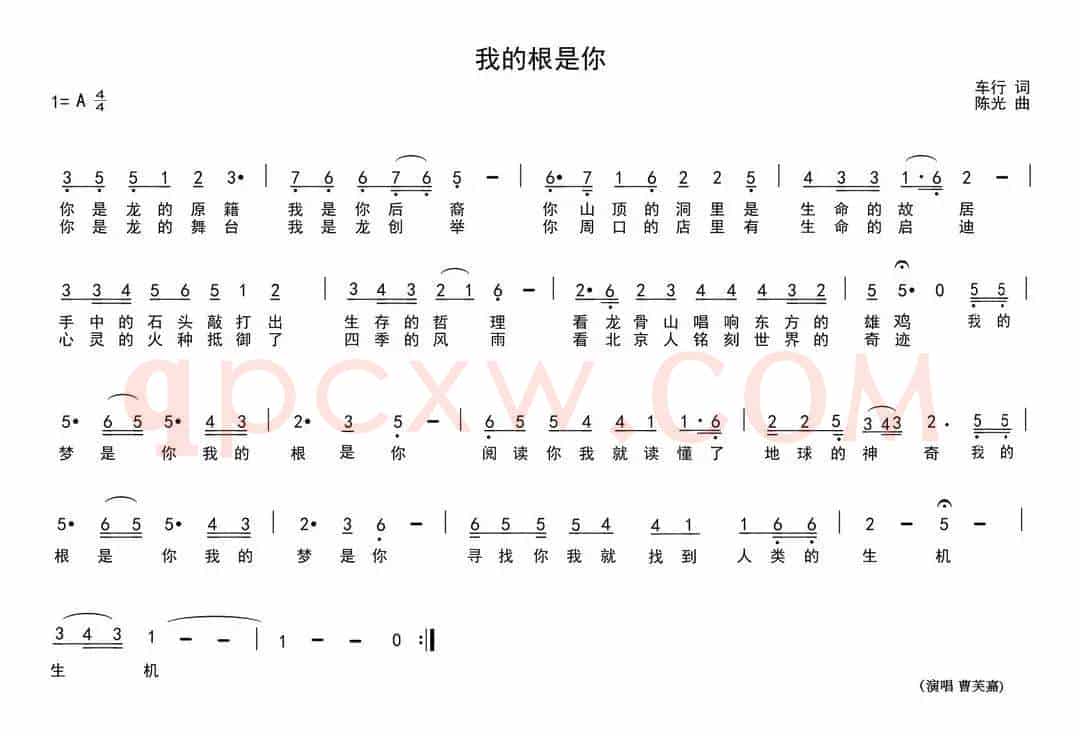 我的根是你