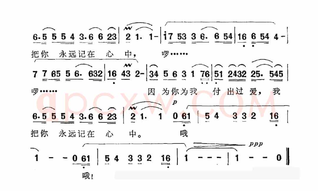 心中珍藏一片情