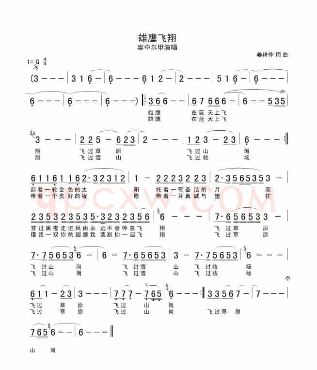 雄鹰飞翔