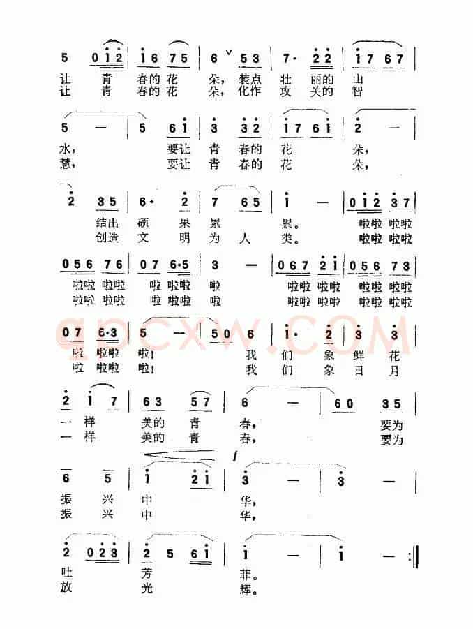 我们的青春