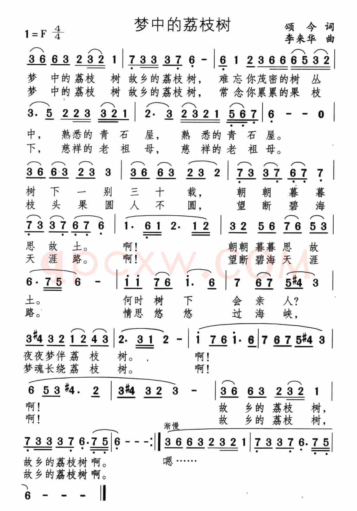 梦中的荔枝树