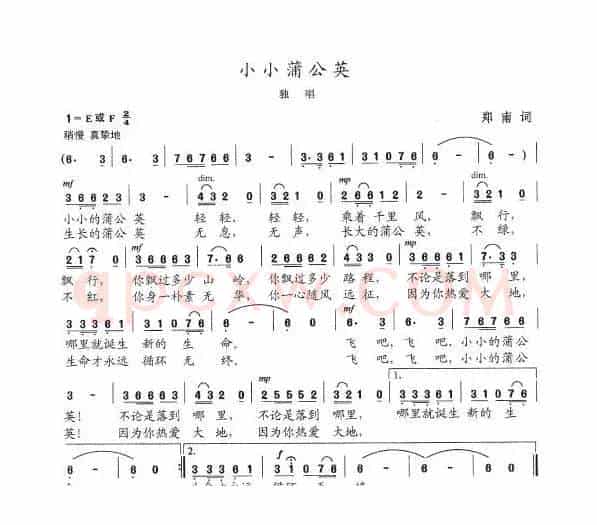 小小蒲公英
