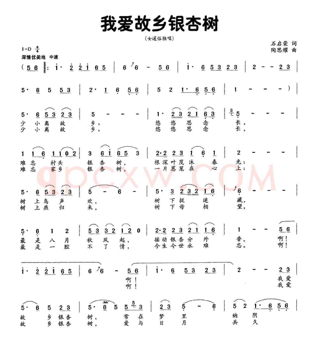 我爱故乡银杏树