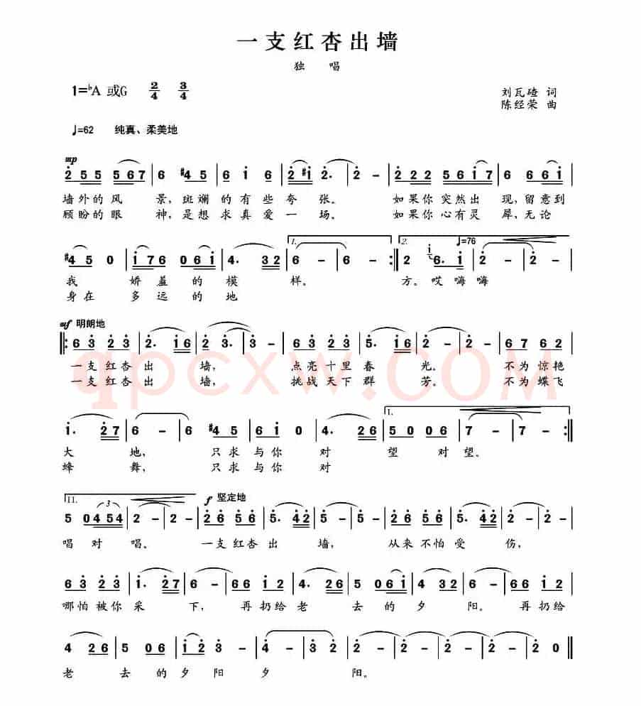 一支红杏出墙