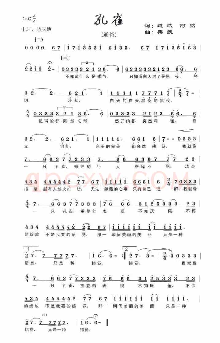 孔雀（陈道斌词 栾凯曲）