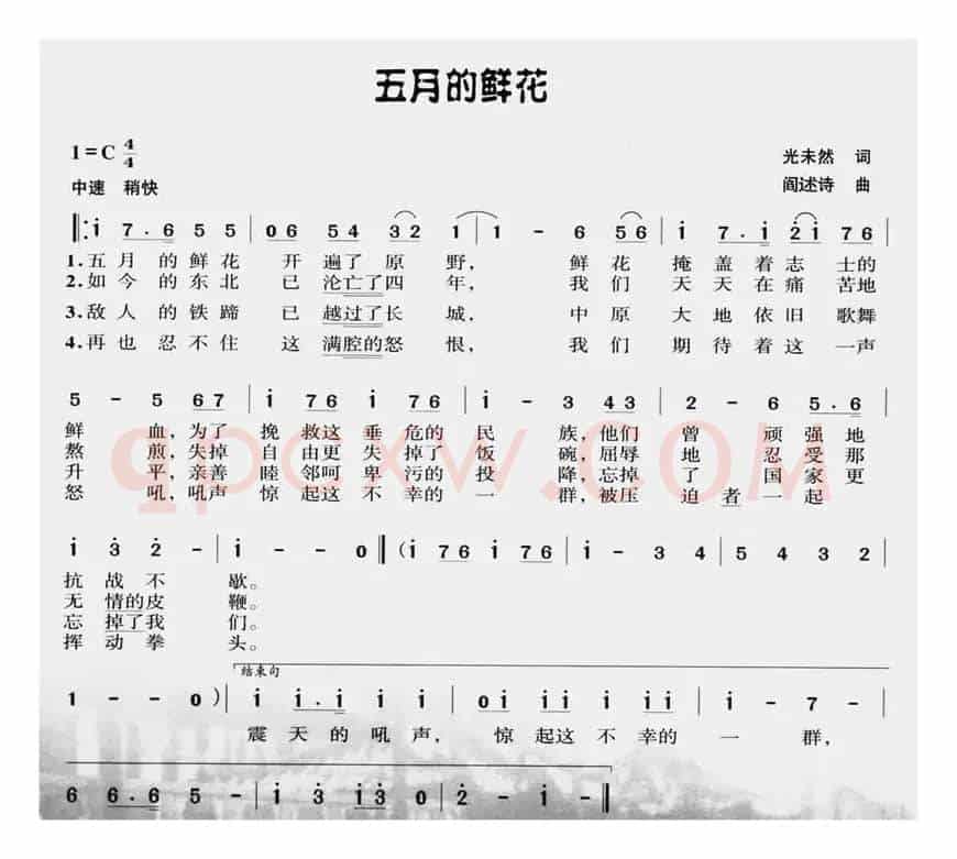 军歌金曲:五月的鲜花