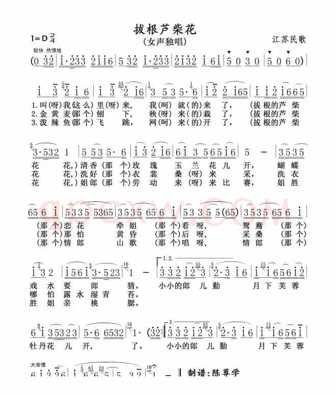 拔根芦柴花