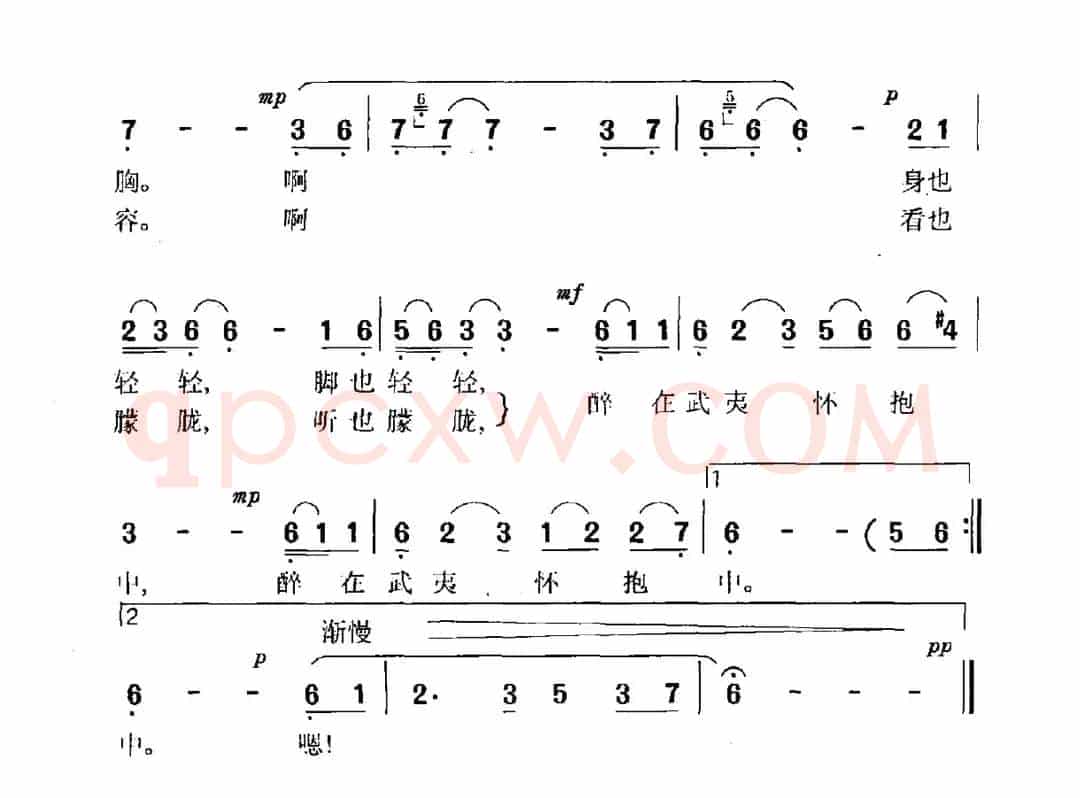 醉在武夷怀抱中
