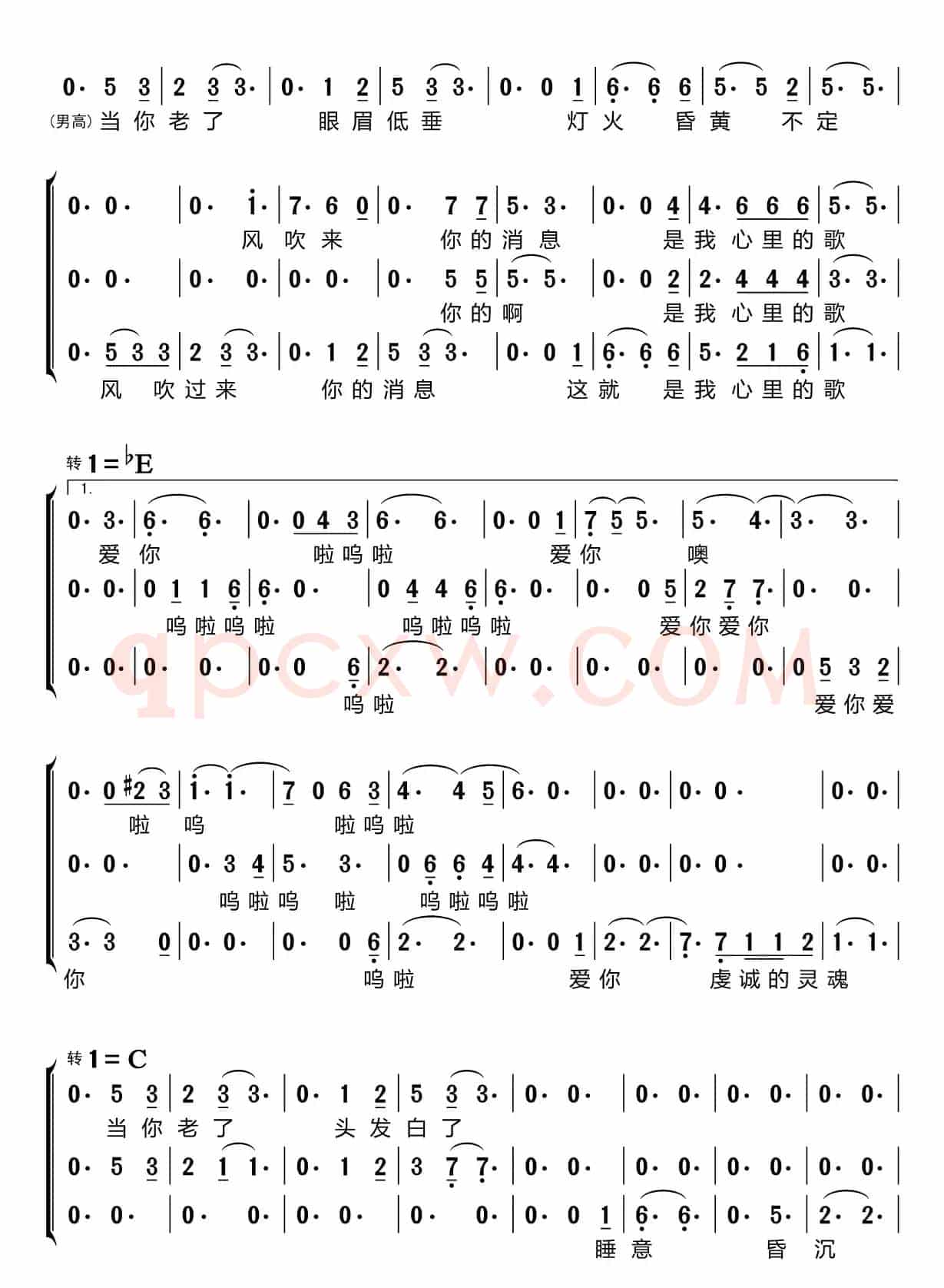 当你老了（梦之旅组合）