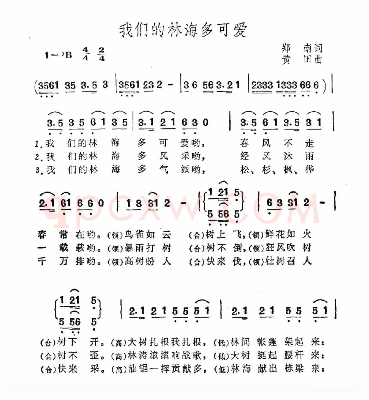 我们的林海多可爱