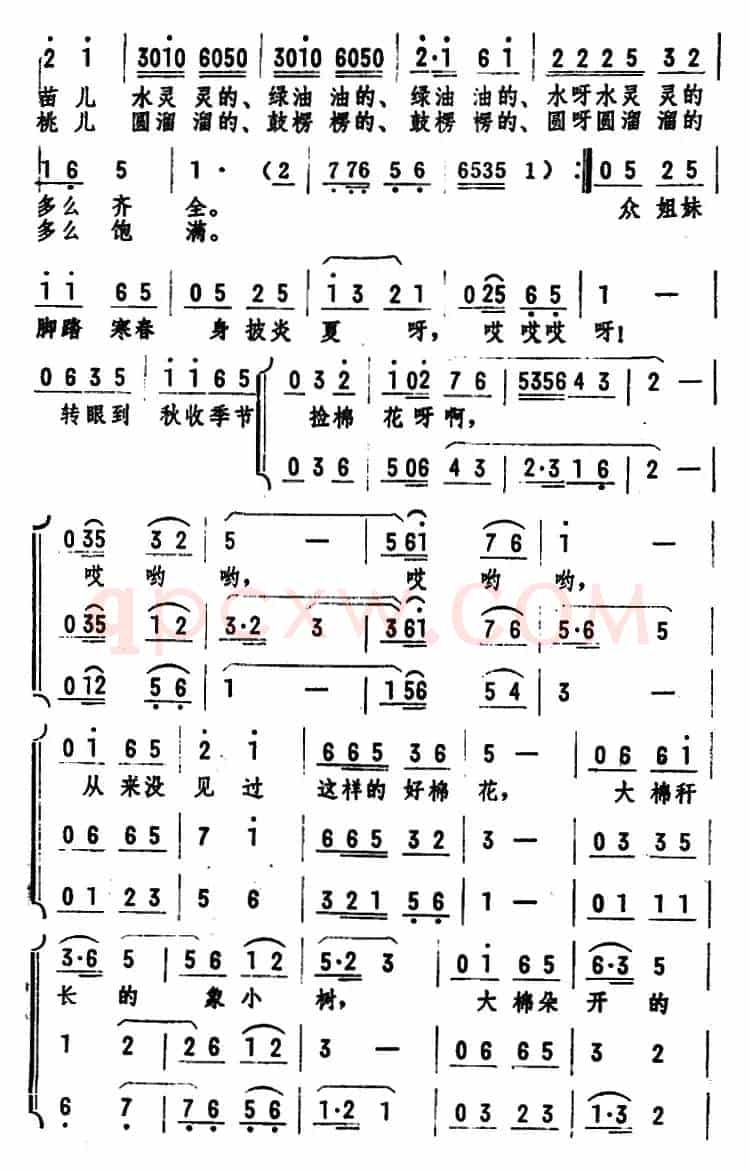 幸福的种子开了花 