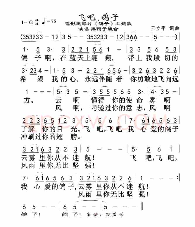 飞吧鸽子