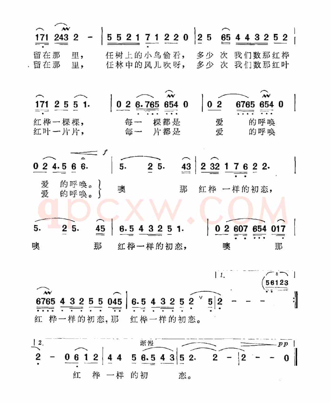 红桦一样的初恋