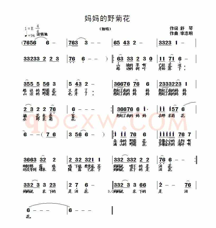 妈妈的野菊花（舒琴词 李志明曲）