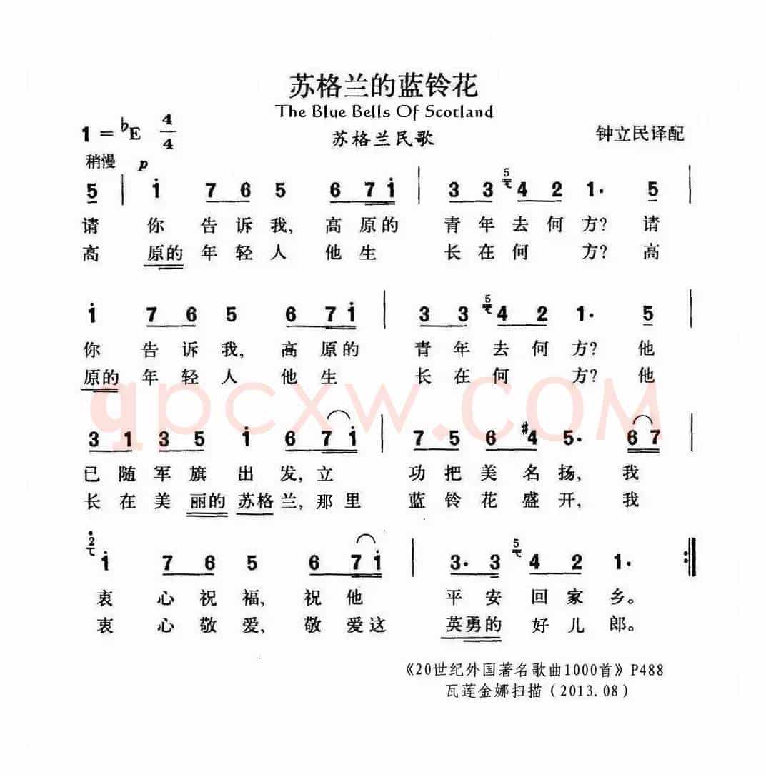 苏格兰的蓝铃花