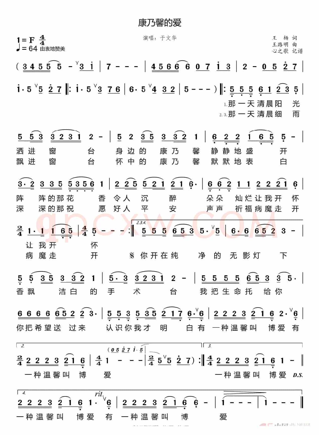 康乃馨的爱（于文华）