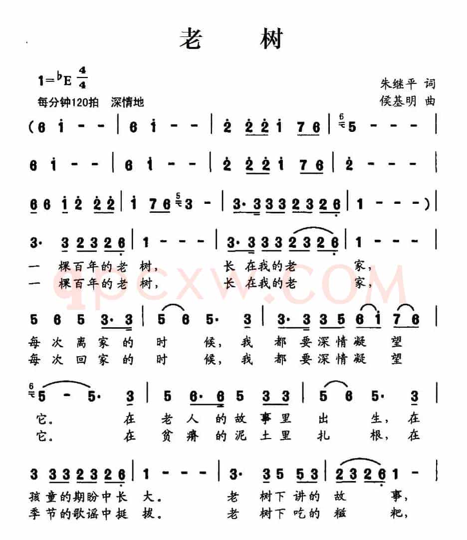 老树（朱继平词 侯基明曲）