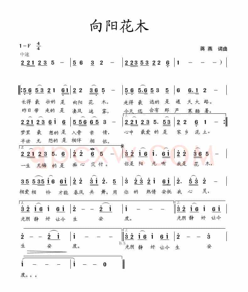 向阳花木