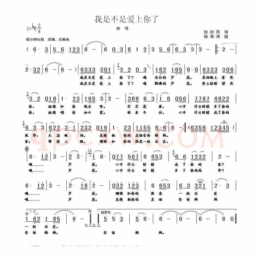 我是不是爱上你了