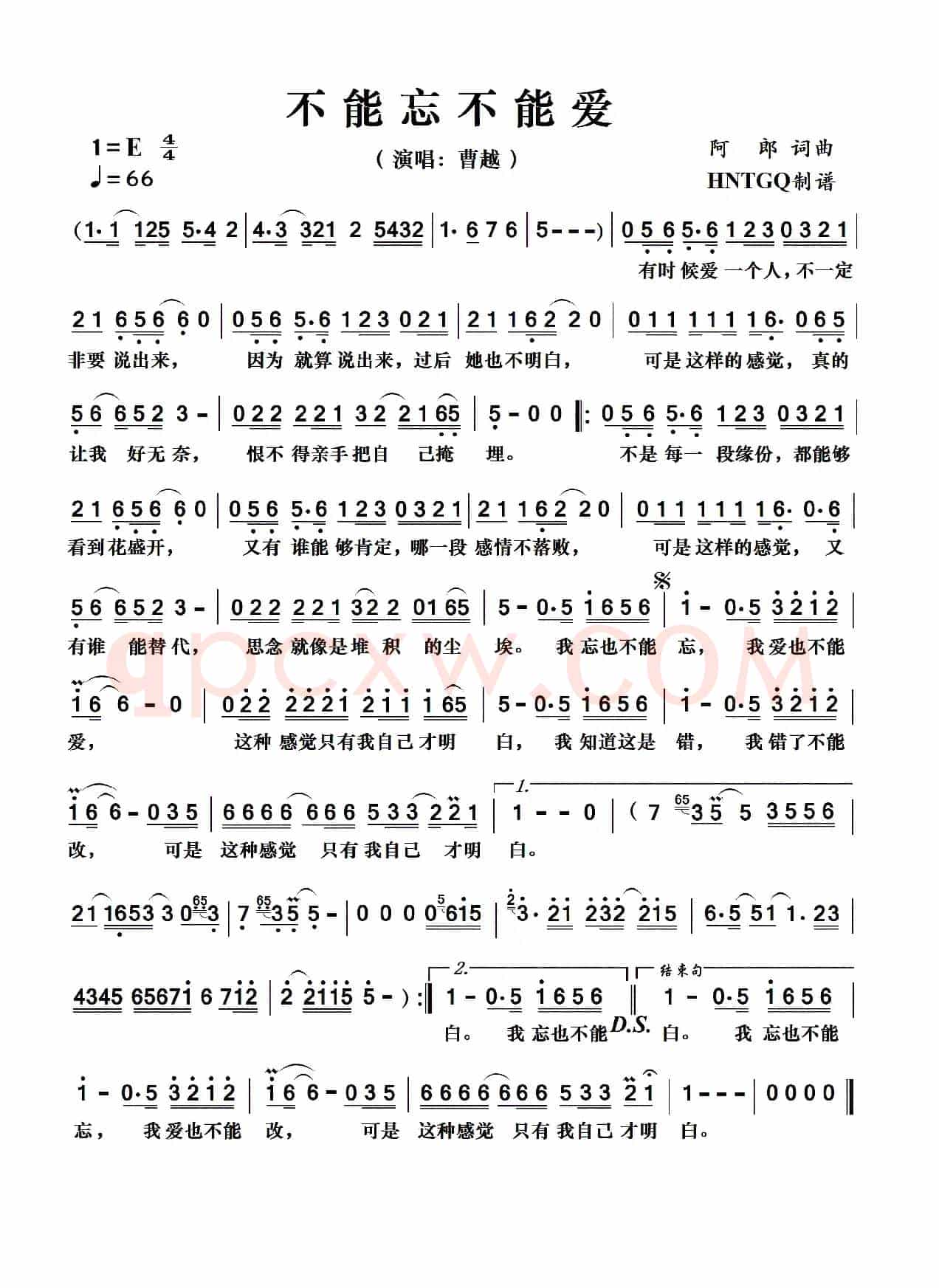 不能忘不能爱