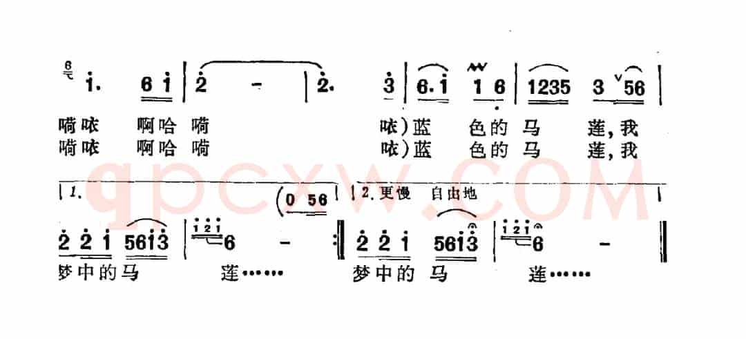 蓝色的马莲