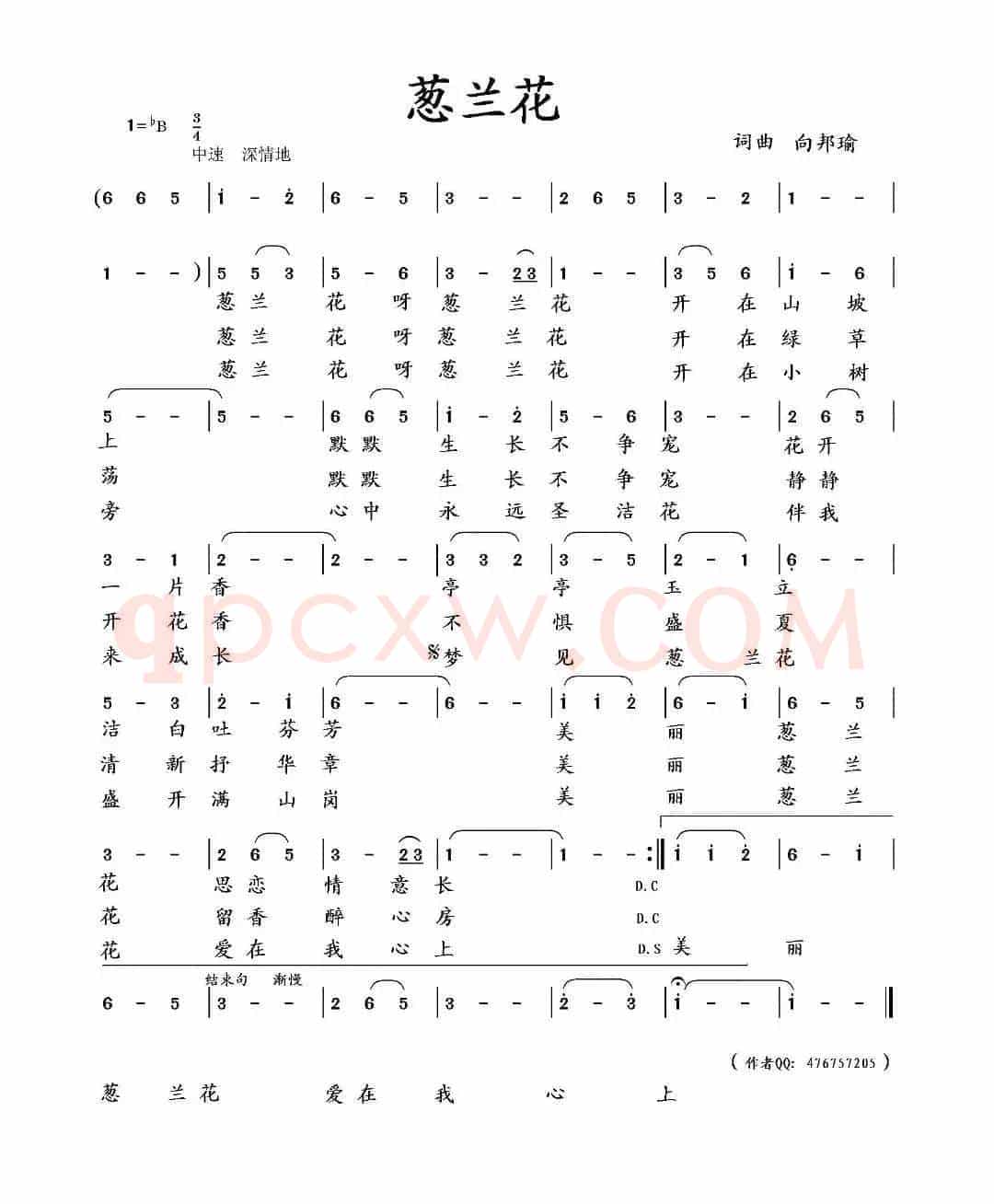 葱兰花(向邦瑜词 向邦瑜曲)
