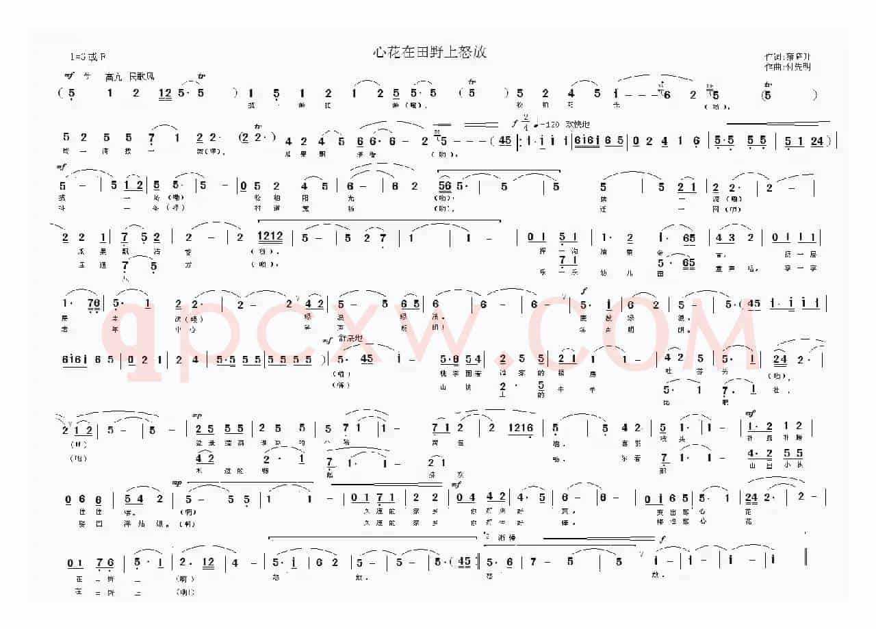 心花在田野上怒放